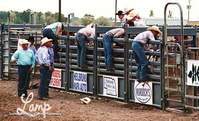 Bareback Riders